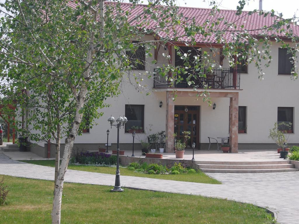 Anna Panzio Otel Dunavarsány Dış mekan fotoğraf