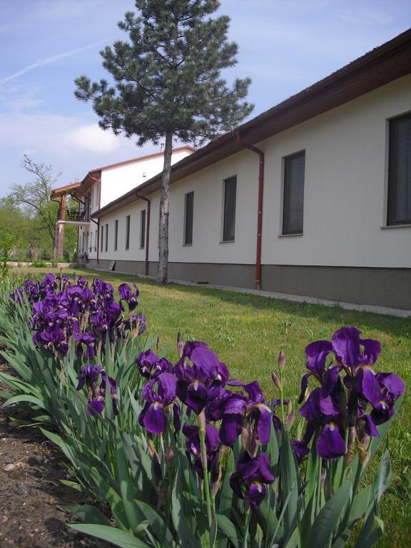 Anna Panzio Otel Dunavarsány Dış mekan fotoğraf